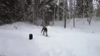 Snowboarding Wow GIF - Snowboarding Wow Awesome GIFs