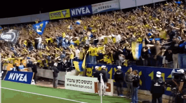 Maccabi Tel Aviv Maccabi GIF - Maccabi Tel Aviv Maccabi מכבי GIFs