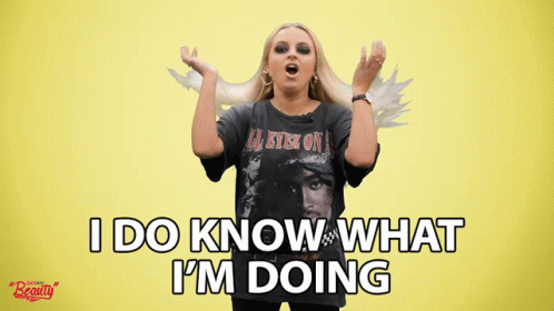 I Do Know What Im Doing I Know What Im Doing GIF - I Do Know What Im Doing I Know What Im Doing Dont Worry GIFs