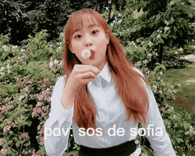 a girl blowing a dandelion with the words pov sos de sofia written below her