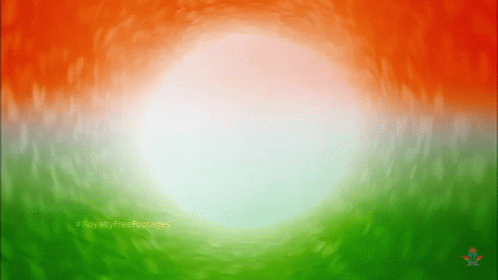Indian Flag India GIF - Indian Flag India GIFs
