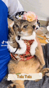 a cat with a flower on its head is being held in someone 's arms and says tole tole on the bottom