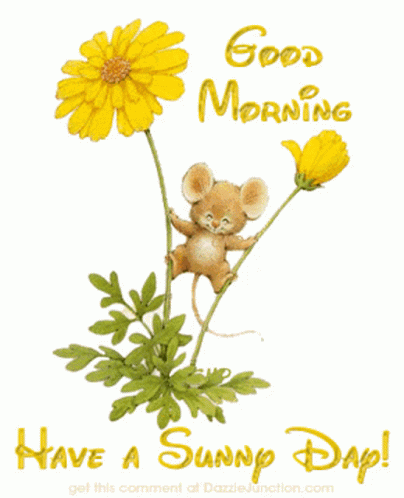 Good Morning Good Day GIF - Good Morning Good Day Flowers GIFs