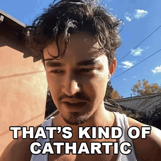Thats Kind Of Cathartic Cameo GIF - Thats Kind Of Cathartic Cameo Cleansing Experience GIFs