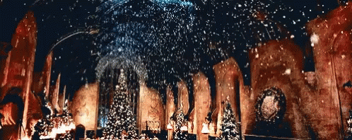 Christmas Harry Potter GIF - Christmas Harry Potter GIFs