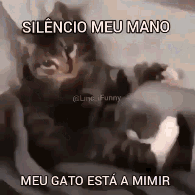 a cat is laying on a couch with a caption that says silencio meu mano meu gato esta a mimir