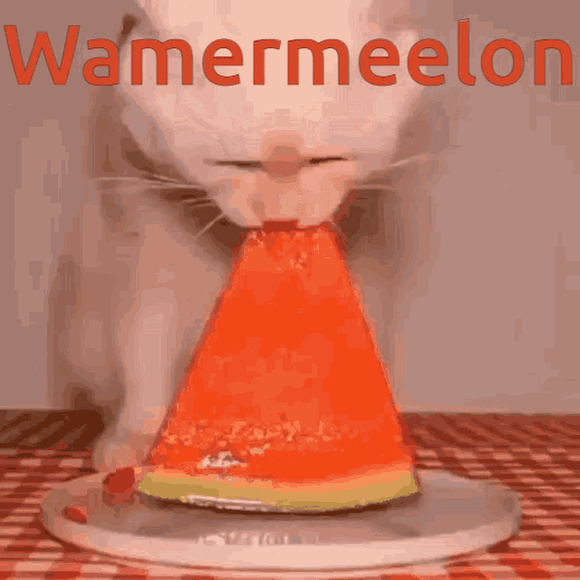 Watermelon Cat GIF - Watermelon Cat Hunger GIFs