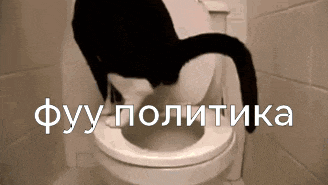 a black cat is sitting on a toilet with the words фуу политика written in white