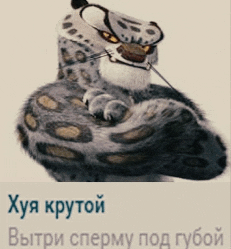 a picture of a cat with a caption in a foreign language