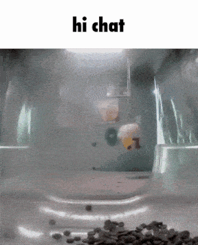 a hamster is swimming in a bowl of water with the words hi chat above it