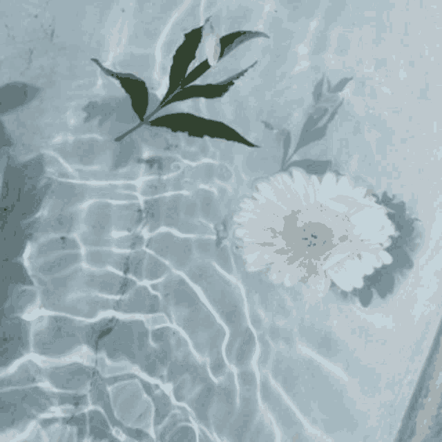 Water Art GIF - Water Art Flowers GIFs