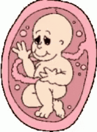 a cartoon of a baby in the womb with a sad look on his face .