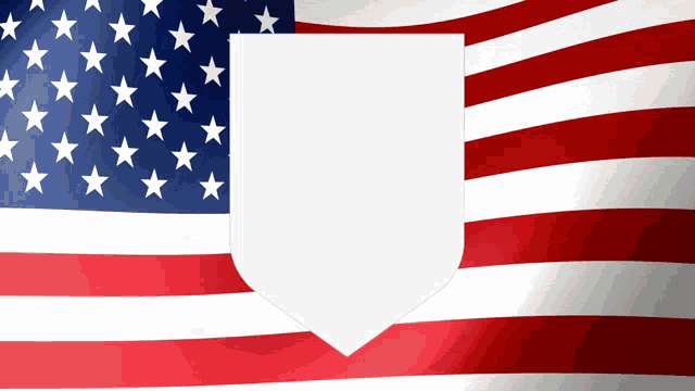 Usa Flag GIF - Usa Flag Proud GIFs