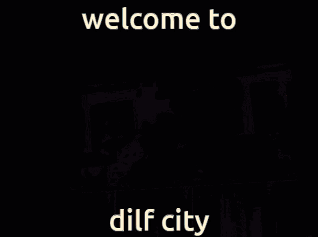 a picture of a city with the words welcome to dilf city below it