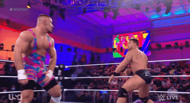 a couple of men are wrestling in a ring .