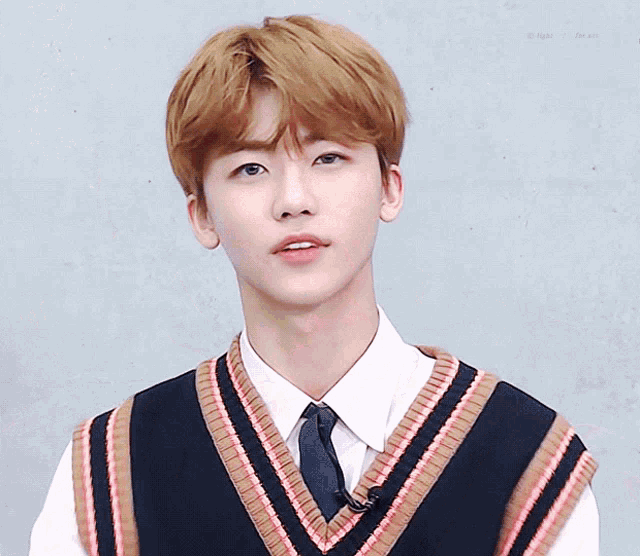 a close up of a person wearing a sweater vest