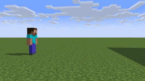 a minecraft character is standing in a field