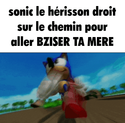 a picture of sonic the hedgehog with the caption sonic le herisson droit sur le chemin pour aller bziser ta mere