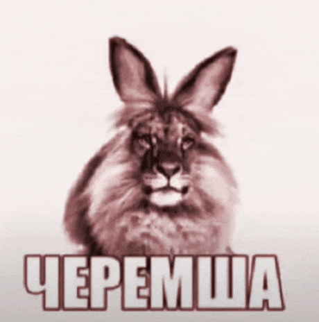 a picture of a rabbit with a lion 's face and the words " черемша " in white letters