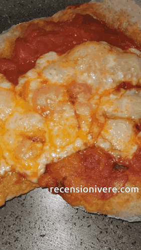 a close up of a pizza with a reviewonivere.com website in the upper right corner