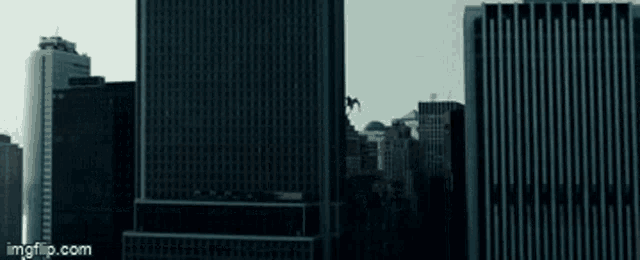 an aerial view of a city skyline with the url imgflip.com