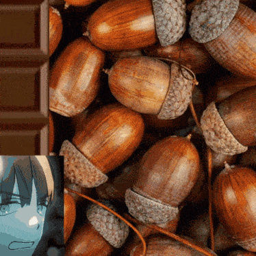 a bunch of acorns next to a chocolate bar