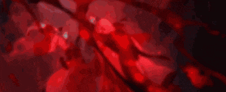 a person is laying on the ground in a dark room with red lights coming out of the ground .