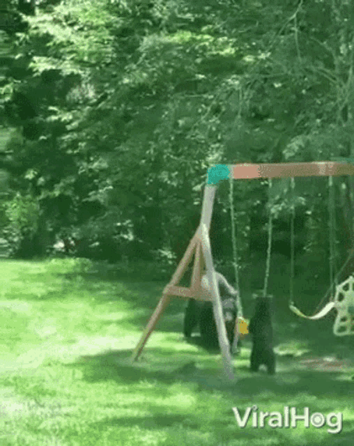 Bear Threatening Viralhog GIF - Bear Threatening Viralhog Jump GIFs