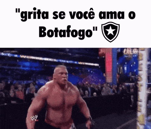 Botafogo Fogão GIF - Botafogo Fogão Futebol GIFs