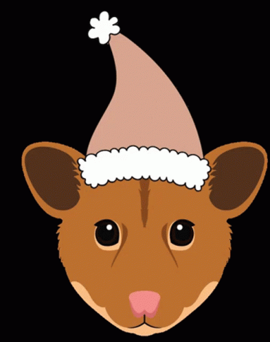 Melina Bucher Christmas GIF - Melina Bucher Christmas Christmas Hamster GIFs