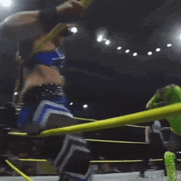 two women are wrestling in a wrestling ring .