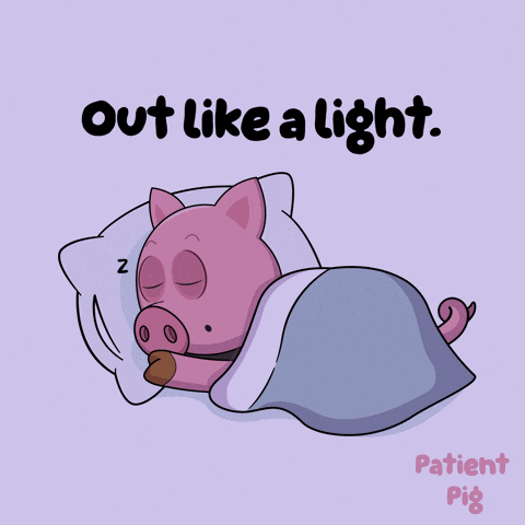 a cartoon of a pig sleeping with the words out like a light behind it