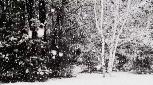 It'S Always Snowing In Christmas GIF - Snowfall Christmas GIFs
