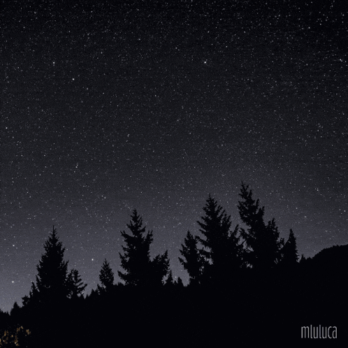 a night sky with a crescent moon and the words disfruta de tus aventuras dentro del bosque de tus sueños