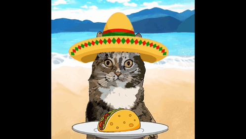 Tacos Taco Cat GIF - Tacos Taco Cat Cat GIFs