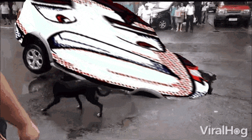 a dog is carrying a car that has fallen into a hole in the road ..