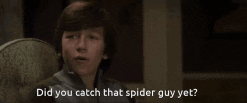 a young boy is pointing at the camera with the words did you catch that spider guy yet
