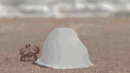 Just A Crab With A Car GIF - Crab Car Animated GIFs