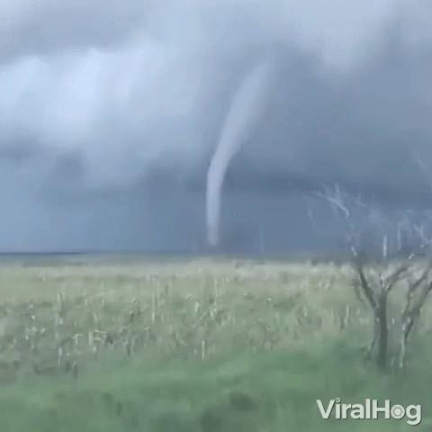 Twister Tornado GIF - Twister Tornado Natural Disaster GIFs
