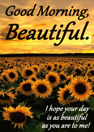 a field of sunflowers with the words " good morning beautiful "