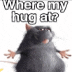a picture of a rat with the words `` where my hug at '' written on it .