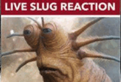 Slug Live Slug GIF - Slug Live Slug Live Slug Reaction GIFs