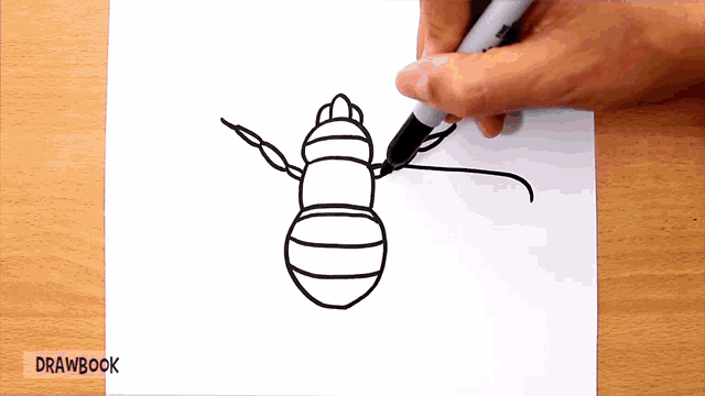 a person is drawing a bee on a piece of paper with drawbook written on the bottom