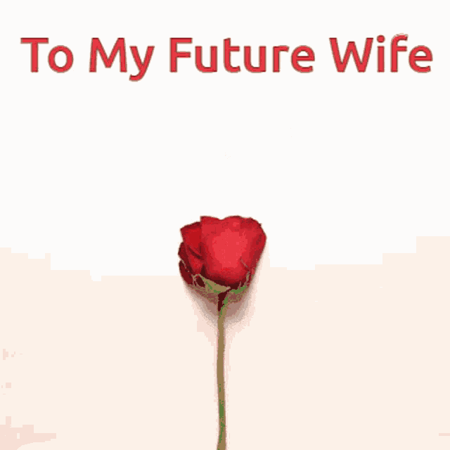To My Wife GIF - To My Wife GIFs