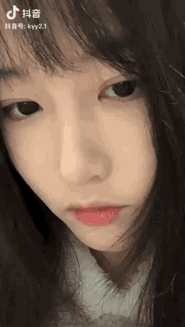 a close up of a woman 's face with chinese writing on the bottom