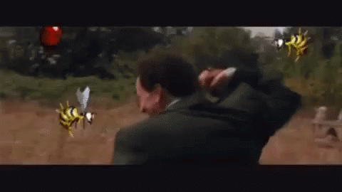 Nicholas Cage Bees GIF - Nicholas Cage Bees Run GIFs