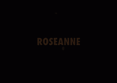 Roseann GIF - Dannynoriegav GIFs