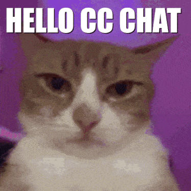 Cat Swag GIF - Cat Swag Hello Chat GIFs