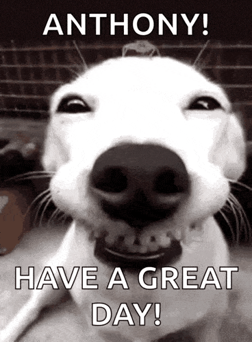 a black and white photo of a dog with the words `` anthony ! have a great day '' written on it .