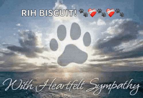 a picture of a paw print with the words rih biscuit